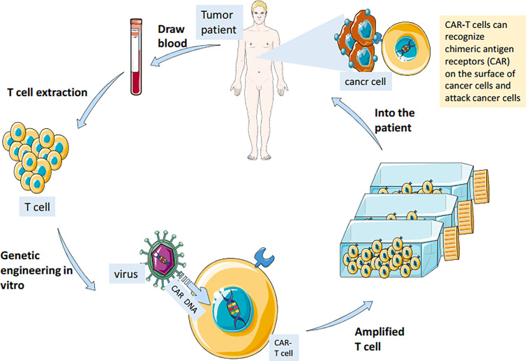 Figure 2