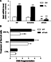 Fig. 7