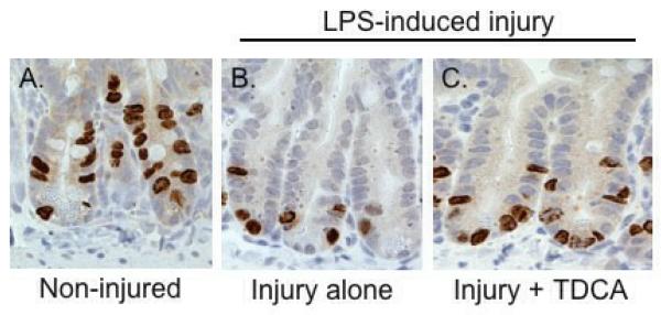 FIG 3