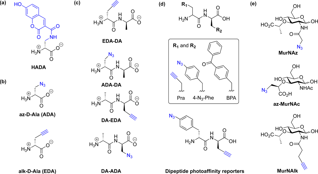 Figure 5.