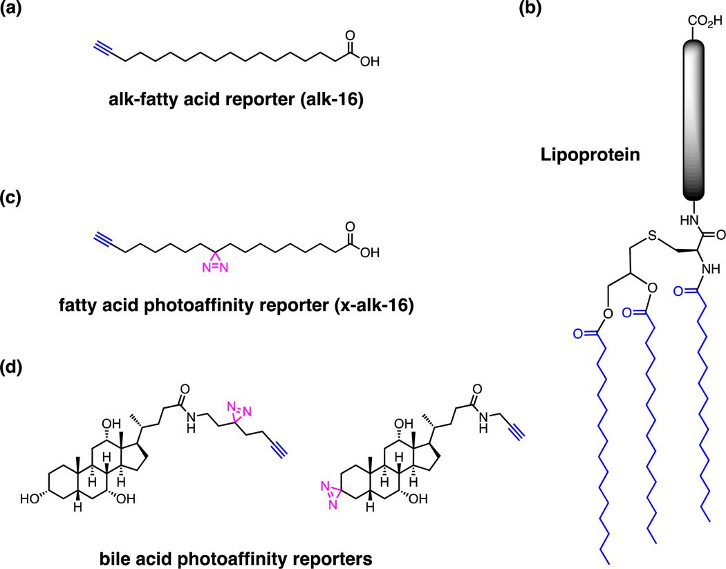 Figure 10.