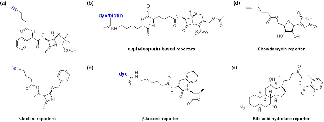 Figure 11.