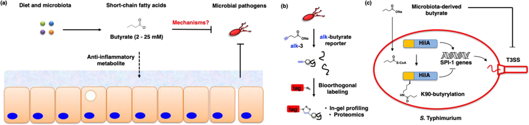 Figure 12.