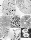 FIG. 3.