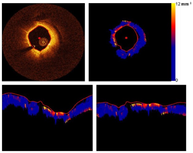 Fig. 2