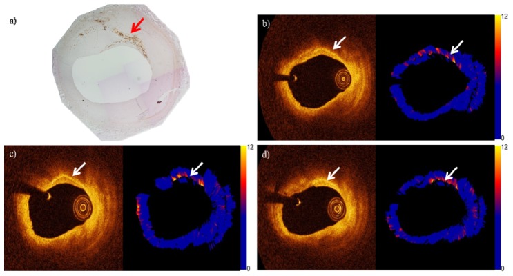 Fig. 6