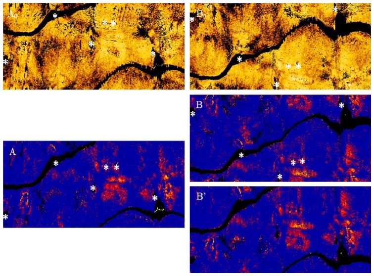 Fig. 4