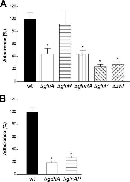 FIG. 2.