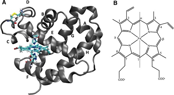 Fig. 1