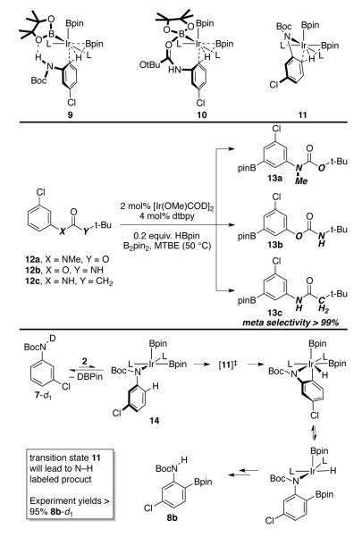 Scheme 3