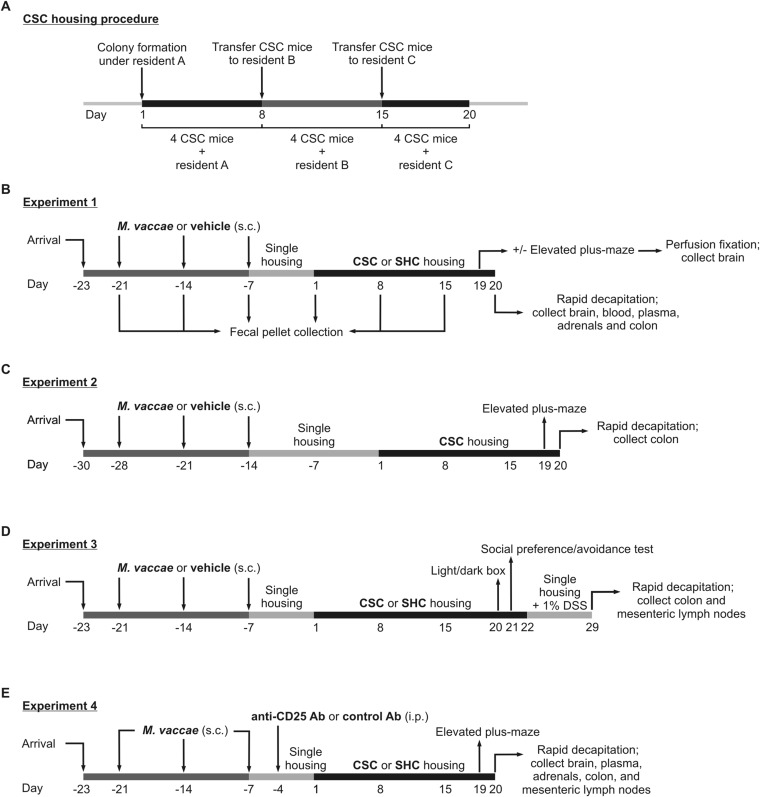 Fig. S1.