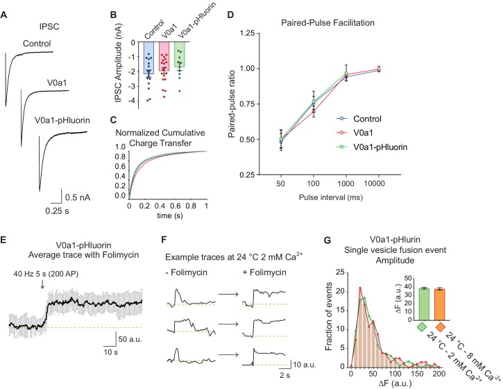 Figure 6—figure supplement 1.