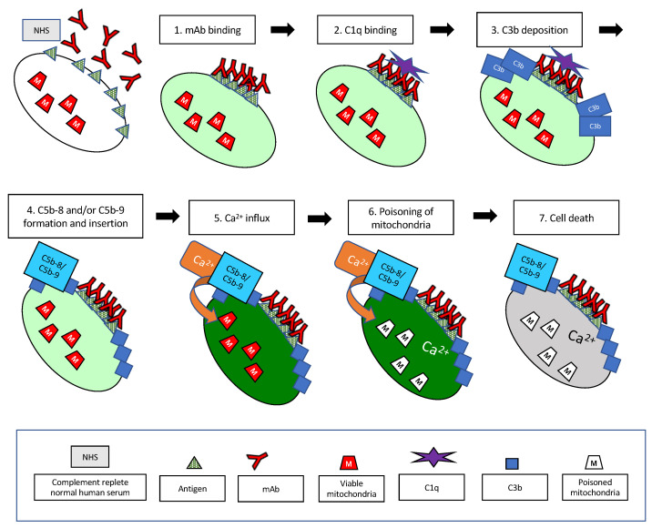 Figure 16