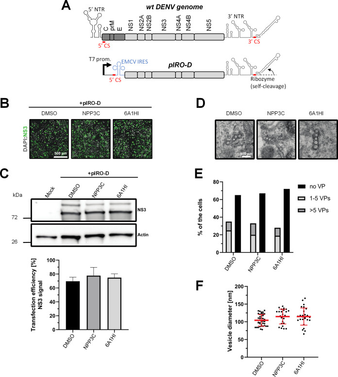 FIG 4