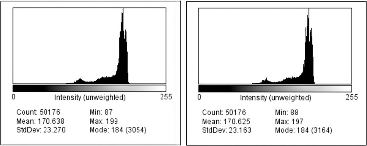 Fig 19