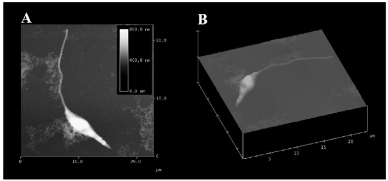 Fig. (1)