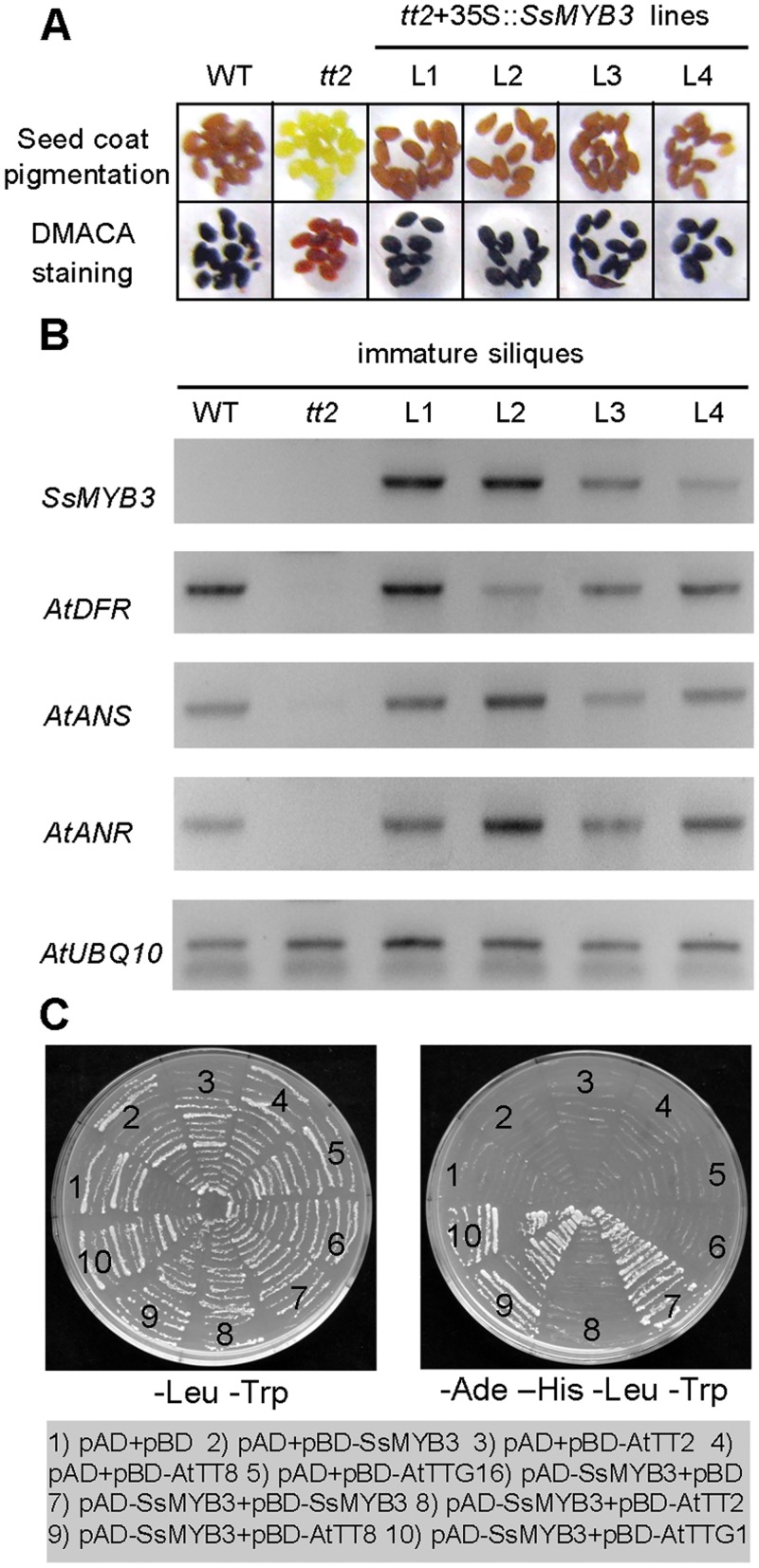 Fig 4