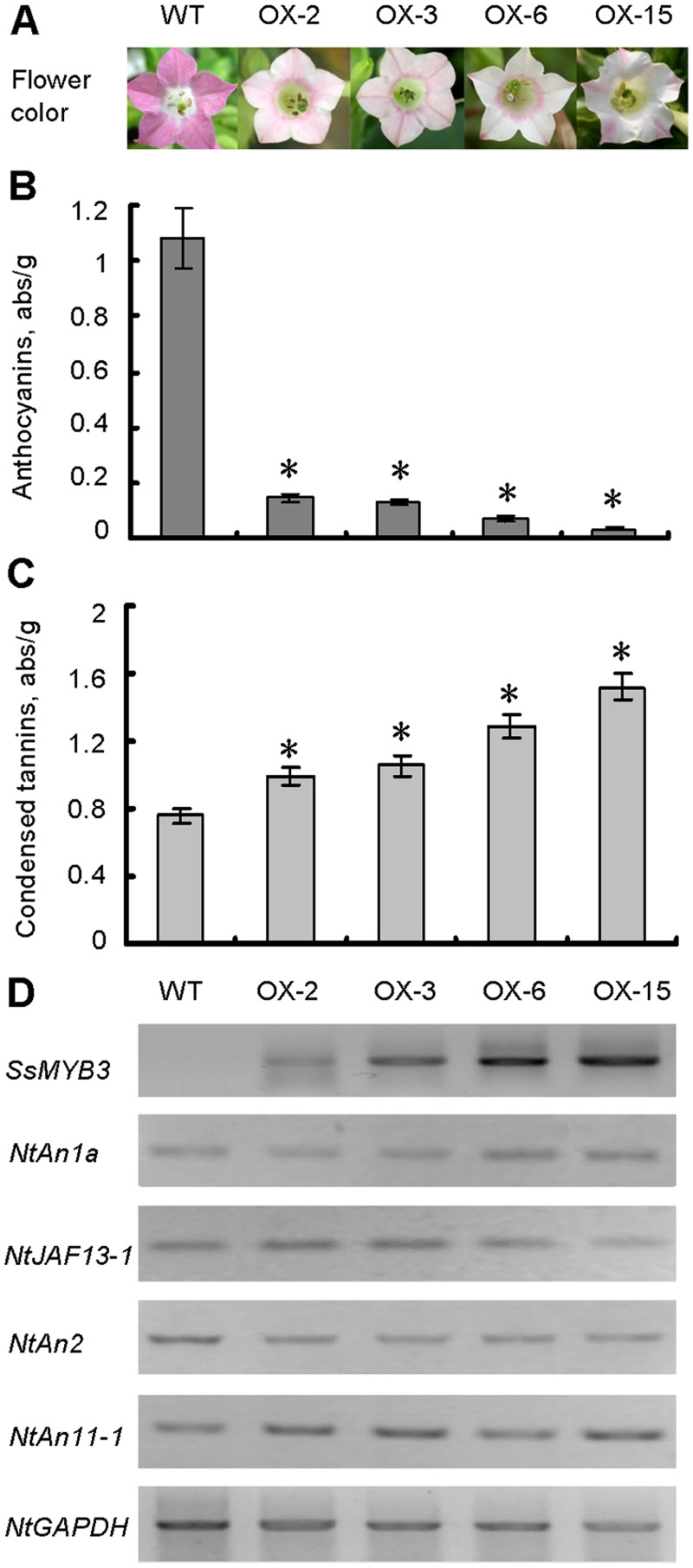 Fig 5