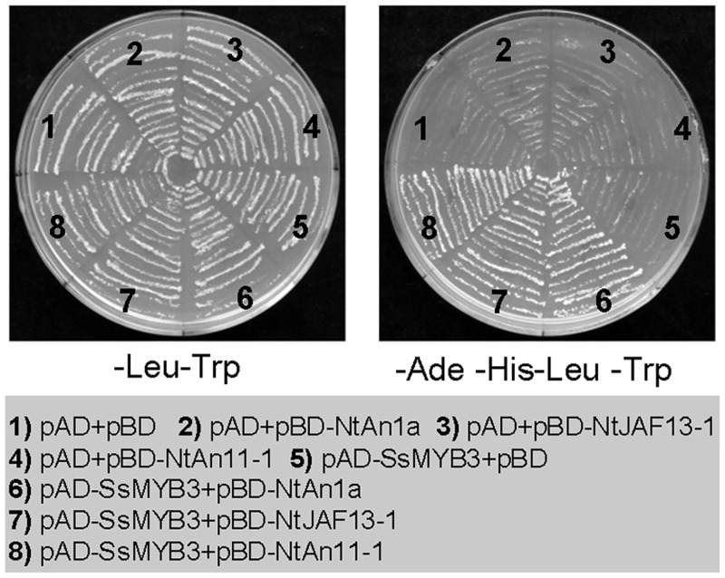 Fig 7