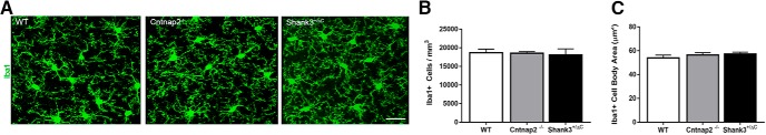 Figure 9.