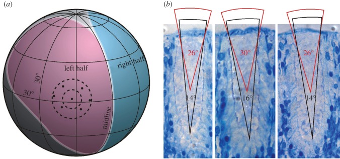 Figure 3.