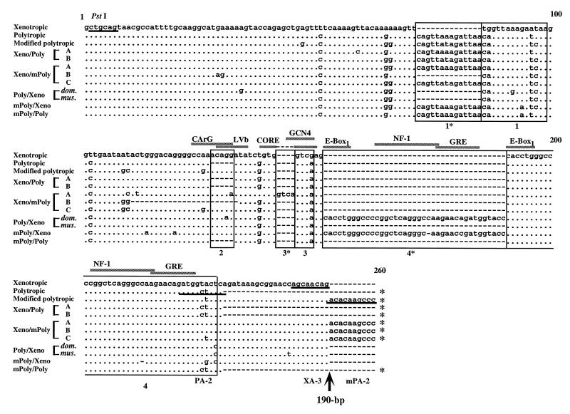 FIG. 6