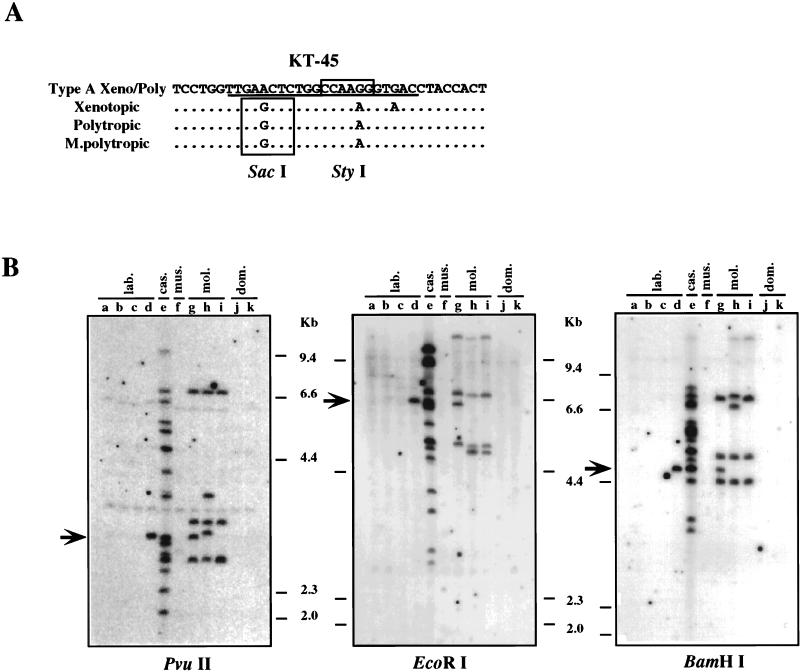 FIG. 7