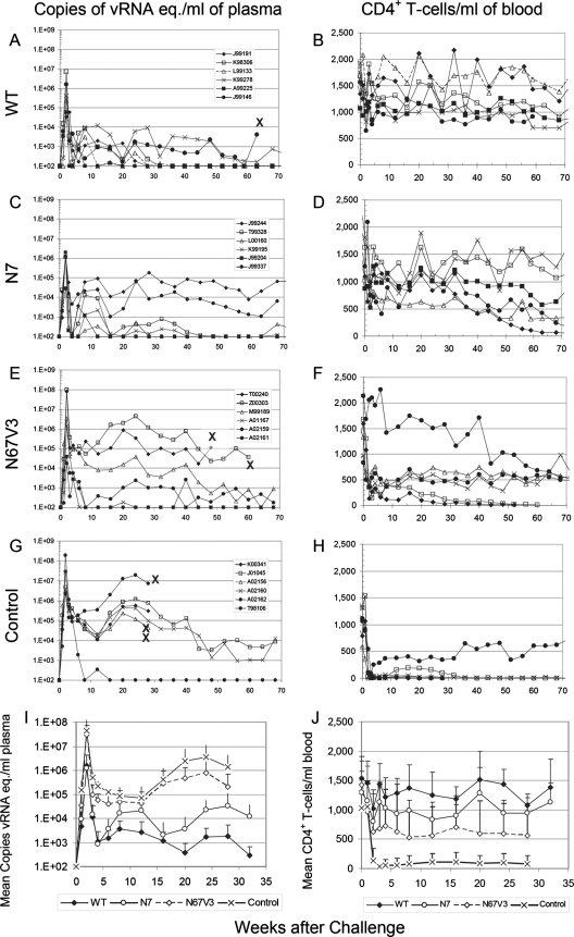 FIG. 7.