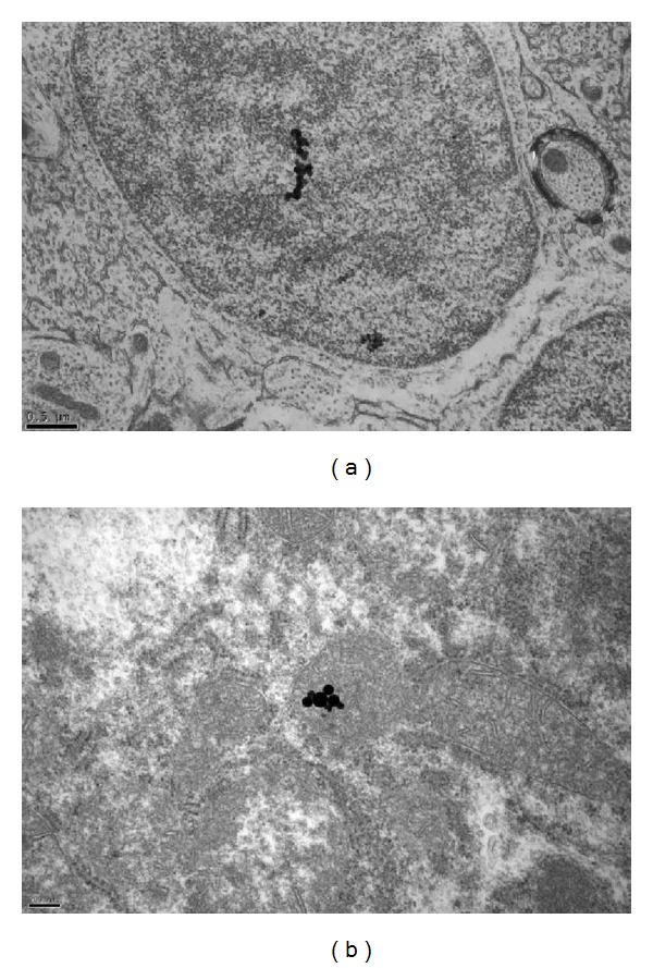 Figure 10