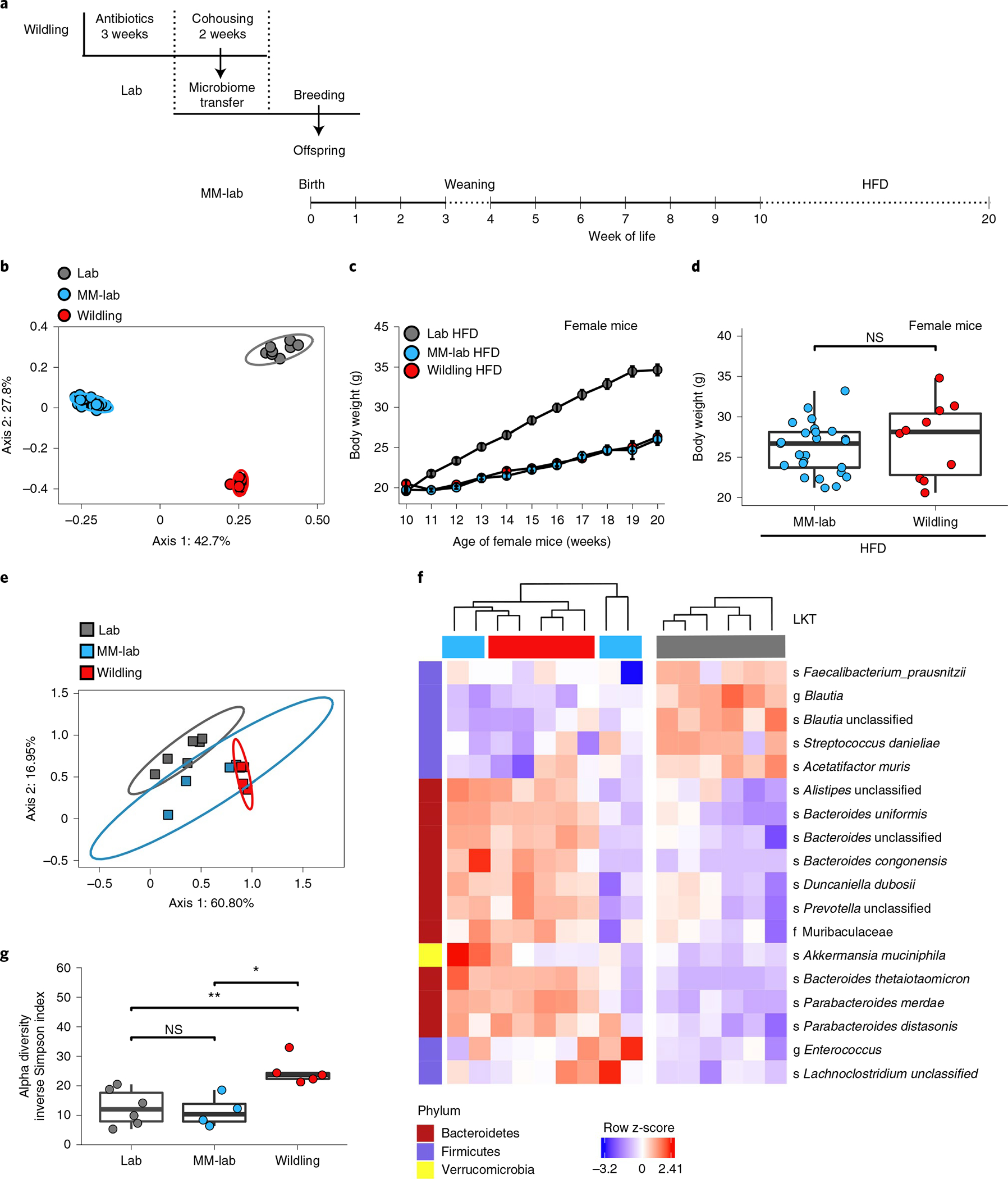 Fig. 7 |