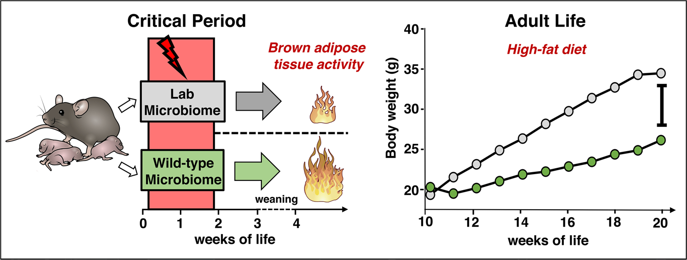 Extended Data Fig. 9 |