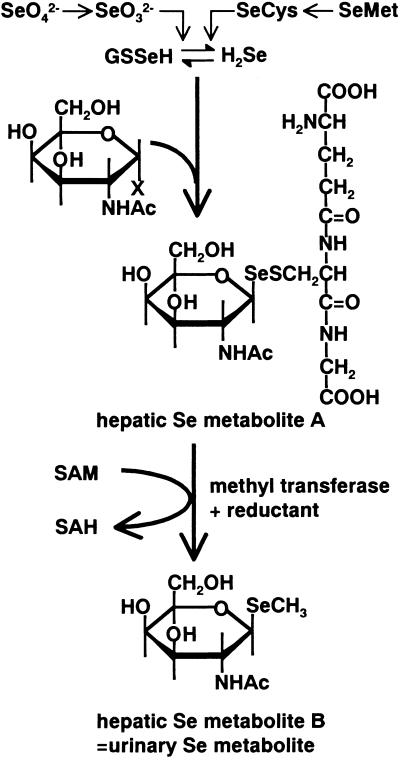 Fig 5.