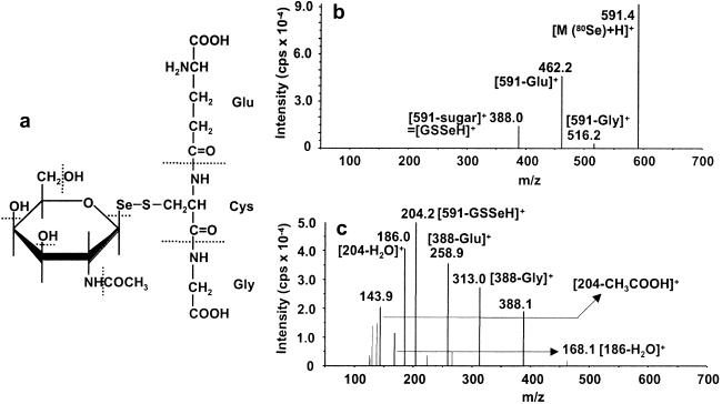 Fig 4.