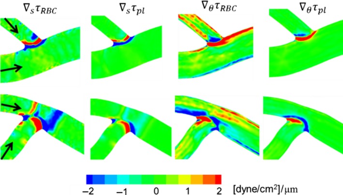 Figure 20