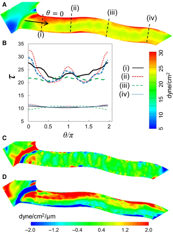 Figure 12