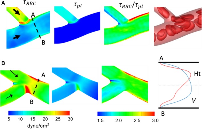 Figure 19