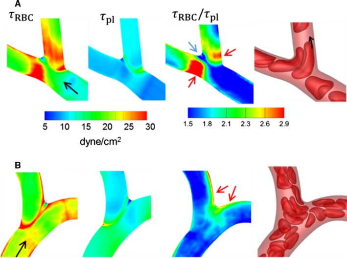 Figure 15