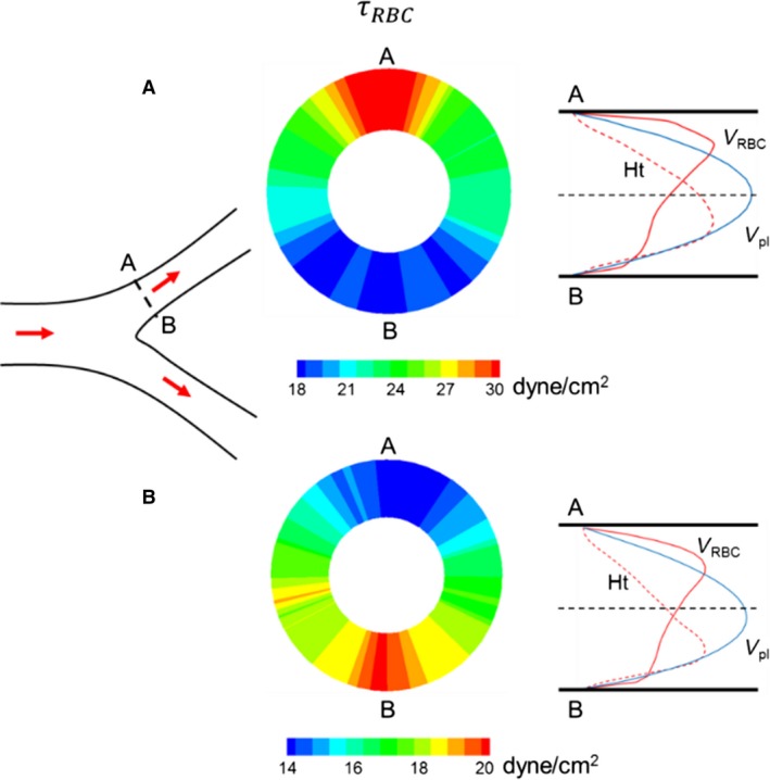 Figure 17