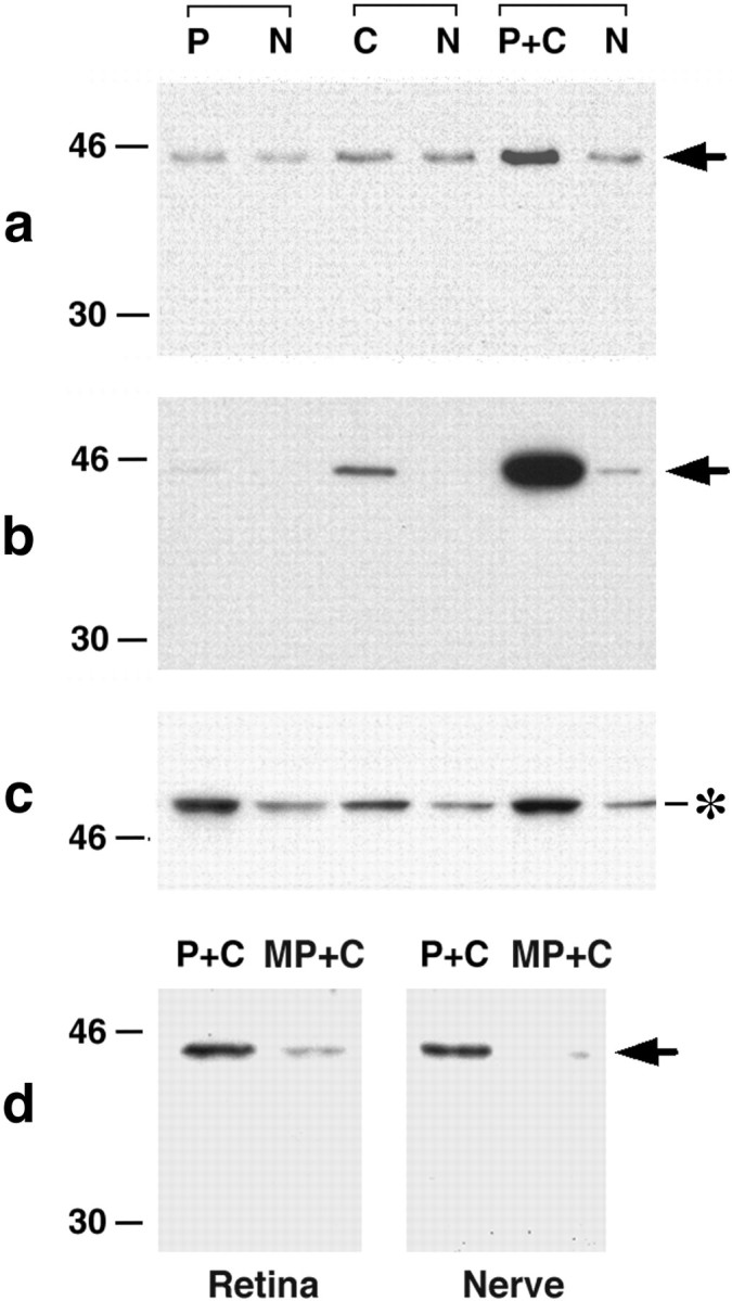 Fig. 8.