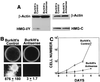 FIG. 7