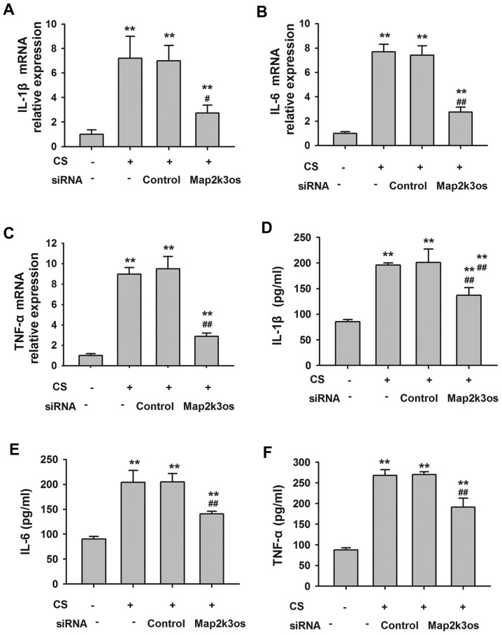 Figure 6.