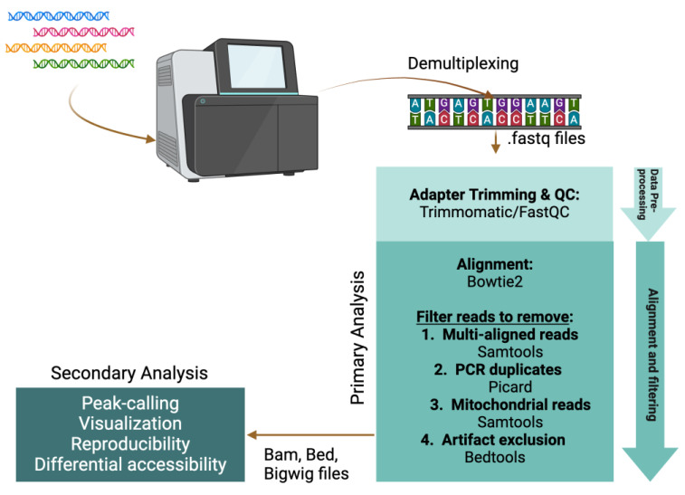 Figure 4