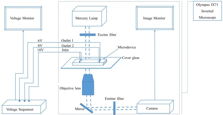 FIG. 2.