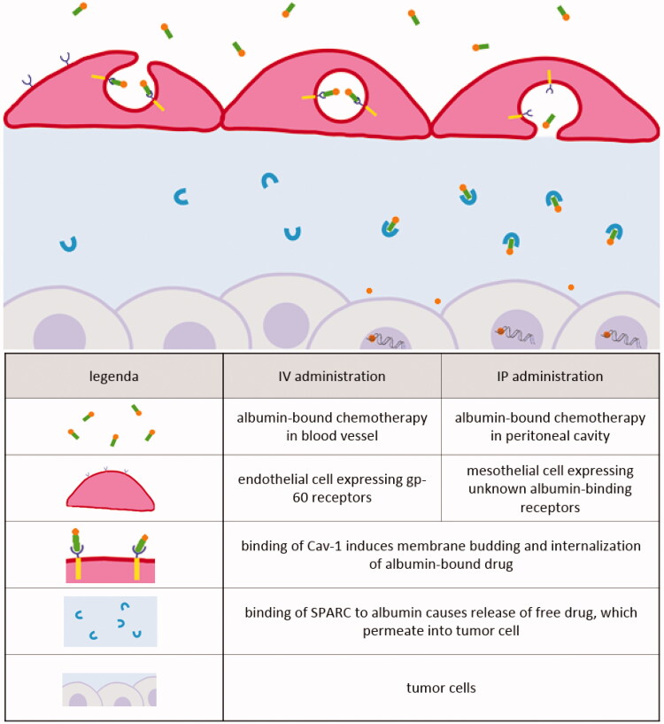 Figure 6.