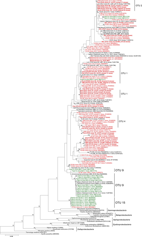 Fig. 3.