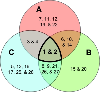 Fig. 5.