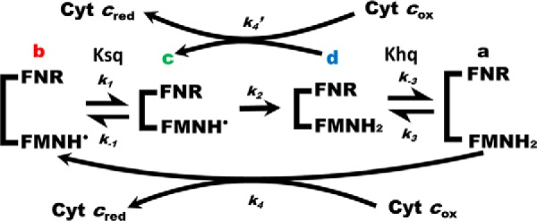 Figure 8.