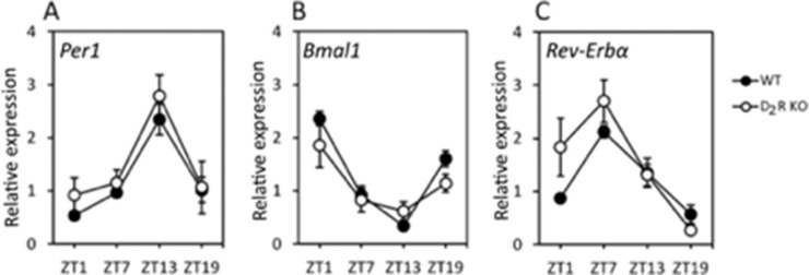 Figure 2.