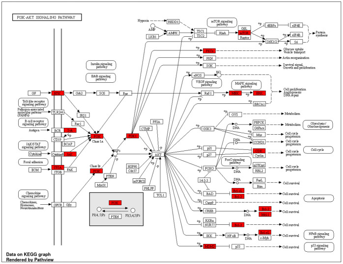 Fig 13