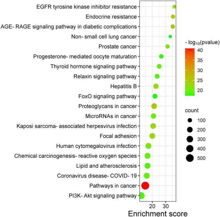 Fig 12